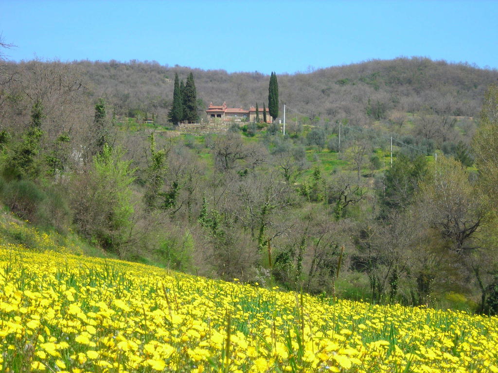 Allegro Agriturismo Argiano Arezzo Exteriér fotografie