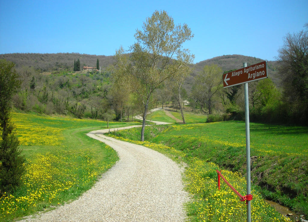 Allegro Agriturismo Argiano Arezzo Exteriér fotografie