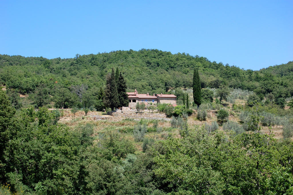Allegro Agriturismo Argiano Arezzo Exteriér fotografie